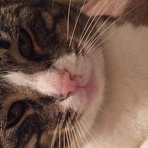 Meet your Posher, Chloe